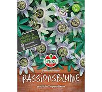 Sperli 86291 Fleur de passion (Graines de fleur de passion)