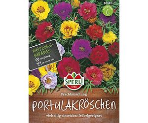 Sperli 86343 Mélange de pépins de Portulac (graines de Portulaque)