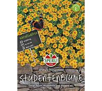 Sperli 87305 Fleur d'étudiant, mer d'oranger (graines de fleurs d'étudiant)