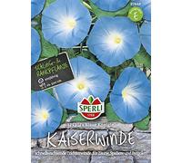 Sperli 87448 Treuil ou entonnoir bleu (graines de vent)