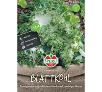 Sperli Chou à Feuilles « Emerald Ice » - 1 sachet