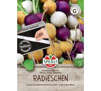 Sperli Combinaison de radis 3 | Zlata, Viola, Albena | 5 m de ruban de graines pour environ 250 graines de radis