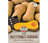 Sperli Courge Butternut "Hunter" - 1 sachet