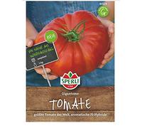 Sperli F1 83529 Graines de tomates à la viande gigantomo pour une gigantesque tomate de viande pesant jusqu'à 1 kg