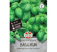 Sperli Genoveser 83813 Graines de basilic Vert | Basilic aromatique avec de grandes feuilles vert foncé, pot et parterre surélevé, pré-culture toute l'année, 1 portion