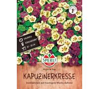 Sperli 85629, capucine Night & Day, convient pour les seaux, contrastée avec croissance touffue, parfumée