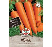 Sperli Graines de carottes rouges géantes résistantes 2 grandes betteraves en forme de cône ; graines de carottes pour environ 1000 carottes idéales pour les aliments crus et les soupes, graines de
