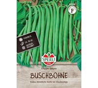 Sperli Graines de haricots brousse Cropper Teepee 80026 - Haricots sans fil pour de délicieux plats, haricots verts, graines de haricots brusques, graines de légumes, jusqu'à 18 cm de long