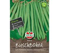 Sperli Graines de haricots de buisson « Delinel » 80039, graines de légumes | Délicat, longueur du fruit : 15,20 cm, contenu pour 5,7 m