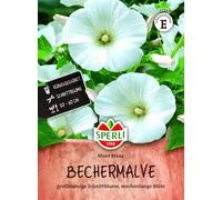 Sperli Graines de mugs Mont Blanc 85173 - Fleurs d'été | Grande fleur d'été blanche pure pour parterres ensoleillés, graines de mugs pour fleurs d'été, fleurs coupées et plantes