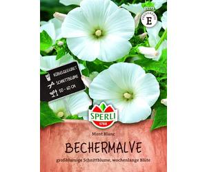 Sperli Graines de mugs Mont Blanc 85173 - Fleurs d'été | Grande fleur d'été blanche pure pour parterres ensoleillés, graines de mugs pour fleurs d'été, fleurs coupées et plantes