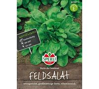 Sperli Mâche "Verte de Cambrai" - 1 sachet