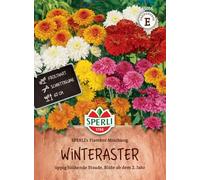 Sperli Mélange de graines de fleurs asters (hiver) Mélange de fibres vertes