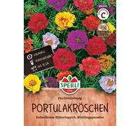 Sperli Pourpier à Grandes Fleurs "Mélange Éclatant" - 1 sachet