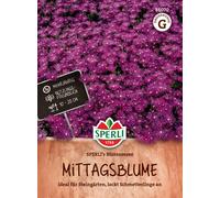 Sperli Pourpier Vivace "Blütenmeer" - 1 sachet