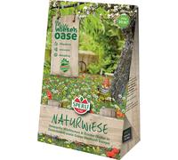 SPERLI 's Naturwiese Fleurs sauvages indigènes - Mélange de graines de fleurs riches en espèces, graines de fleurs sauvages vivaces résistantes à l'hiver, idéales pour les prairies fleuries