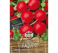 Sperli Radis d'Eté « Parat » - 1 sachet