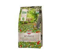 SPERLI 's Naturwiese Fleurs sauvages indigènes - Mélange de graines de fleurs riches en espèces, graines de fleurs sauvages vivaces résistantes à l'hiver, idéales pour les prairies fleuries