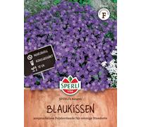 Sperli SPERLI's Azurro Graines de fleurs vivaces pour jardin de rocaille, hauteur de croissance 40 à 60 cm, idéales pour les parterres et les pots, plante ameublement à floraison précoce