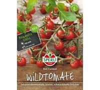 Sperli Tomate Groseille "Rote Johannisbeertomate" - 1 sachet