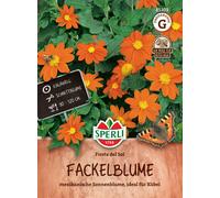Sperli Tournesol Mexicain « Fiesta del Sol » - 1 sachet