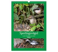 Sperlingsvögel an der Schwelle zum Leben (Wandkalender 2026 DIN A3 hoch), CALVENDO Monatskalender: Entdecken Sie das Leben der Sperlingsvögel