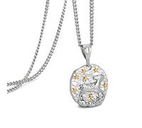 Speroto Collier zodiaque pour homme, Collier en acier inoxydable avec pendentif Constellation, horoscope astrologie en relief, cadeau pour femme et homme, argent, bélier (3.21-4.19)