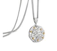 Speroto Collier zodiaque pour homme, Collier en acier inoxydable avec pendentif Constellation, horoscope astrologie en relief, cadeau pour femme et homme, argent, poisson (2.20-3.20)