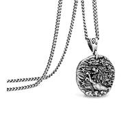 Speroto Collier zodiaque pour homme, en acier inoxydable avec pendentif en forme de 12 constellations, horoscope astrologie, Cadeaux de bijoux pour les femmes et les hommes(argent vintage,lion)