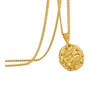 Speroto Collier zodiaque pour homme, en acier inoxydable avec pendentif en forme de 12 constellations, horoscope astrologie, Cadeaux de bijoux pour les femmes et les hommes(Poissons,or)