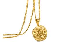 Speroto Collier zodiaque pour homme, en acier inoxydable avec pendentif en forme de 12 constellations, horoscope astrologie, Cadeaux de bijoux pour les femmes et les hommes(Lion,or)