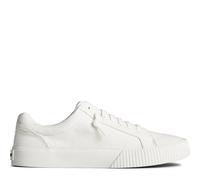 Sperry Baskets bermuda pour femme, blanc, 12