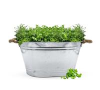 Spetebo Bac à fleurs en zinc avec poignées en corde de jute - 52 x 37 cm - Bac à plantes ovale argenté galvanisé - Décoration de jardin bac à fleurs bac à plantes bac en zinc
