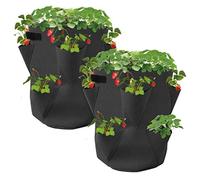 Spetebo Lot de 2 sacs de plantation de fraises en feutre - 45 x 35 cm - Sac de plantation pour fraises et petits légumes - Sac pour jardins, balcons, plantes, sacs pour fraises, ail, oignons, herbes