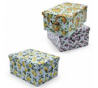 Spetebo Lot de 3 boîtes de rangement avec couvercle 51 x 37 cm - Motifs de fruits - Boîte de rangement en carton avec poignées 45 litres - Boîte de rangement polyvalente pour jouets, cadeau, carton