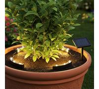 Spetebo Lot de 4 spots solaires à LED pour plantes en pot et parterre de fleurs - Blanc chaud - Spot de jardin - Lampe solaire pour plantes