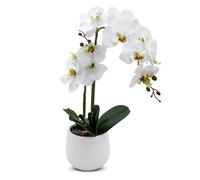 Spetebo Real-Touch Orchidée artificielle dans un pot de fleurs blanc - 50 cm - Orchidée en soie décorative avec pot en céramique - Décoration de table Plante artificielle d'intérieur Plante en pot