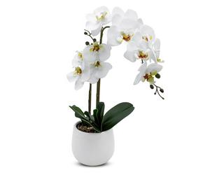 Spetebo Real-Touch Orchidée artificielle dans un pot de fleurs blanc - 50 cm - Orchidée en soie décorative avec pot en céramique - Décoration de table Plante artificielle d'intérieur Plante en pot