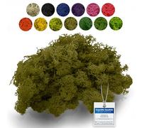 sphagnum-shop.com Véritable mousse de renne décorative Vert moyen 500 g Pour modélisme, bricolage mousse d'Islande