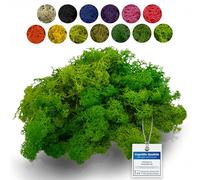 sphagnum-shop.com Véritable mousse décorative vert clair pour modélisme, bricolage, mousse d'Islande, 1000 g