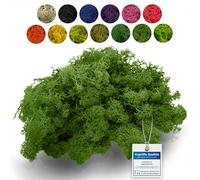 sphagnum-shop.com Véritable tresse décoratif en vert naturel 500 g pour modélisme, bricolage mousse d'Islande préservée