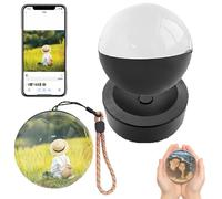 Sphère vidéo personnalisée Memory Orb, Mise à Niveau 2026: Accrochez Tous Vos Souvenirs, décoration de Noël, Compatible iOS et Android, téléchargement vidéos Photos Via Wi-FI(Black)