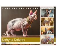 Sphinx Katzen. Eleganz auf leisen Pfoten (Tischkalender 2026 DIN A5 quer), CALVENDO Monatskalender: Erleben Sie die Anmut und Persönlichkeit der einzigartigen Sphinxkatzen in stilvollen Bildern