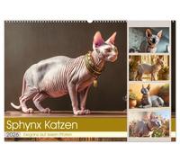 Sphinx Katzen. Eleganz auf leisen Pfoten (Wandkalender 2026 DIN A2 quer), CALVENDO Monatskalender: Erleben Sie die Anmut und Persönlichkeit der einzigartigen Sphinxkatzen in stilvollen Bildern