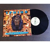 Sphinx - What hope have I (UK, in ig Mix) [Vinyl Single]