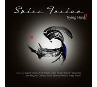 Spice Fusion - Trying Hard 2 [VINYL]