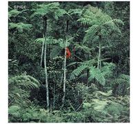 Dais – Spice – CD
