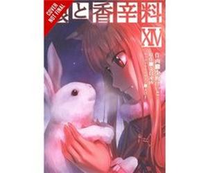 Spice & Wolf Vol 14 Isuna Hasekura, Keito Koume (Auteur)