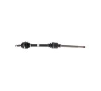 Spidan 21730 Arbre primaire