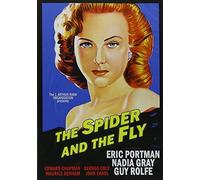 Spider and The Fly
